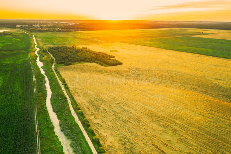 Aerial View Of Countryside Road Through Summer Rural Field. Road Between Corn Maize Plantation And Wheat. Landscape