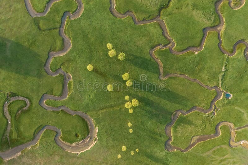 Aerial view of extraordinary meadow with many paths