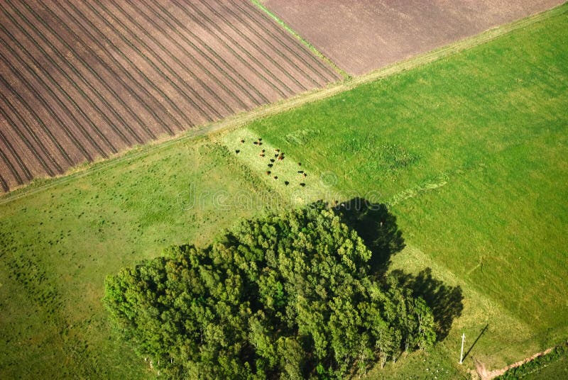 Aerial view of farm with green fields stock photography
