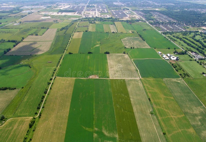 Aerial View of Farmland