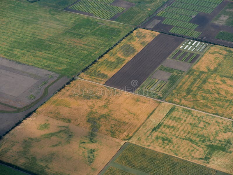 Aerial View Of Fields In Saskatchewan