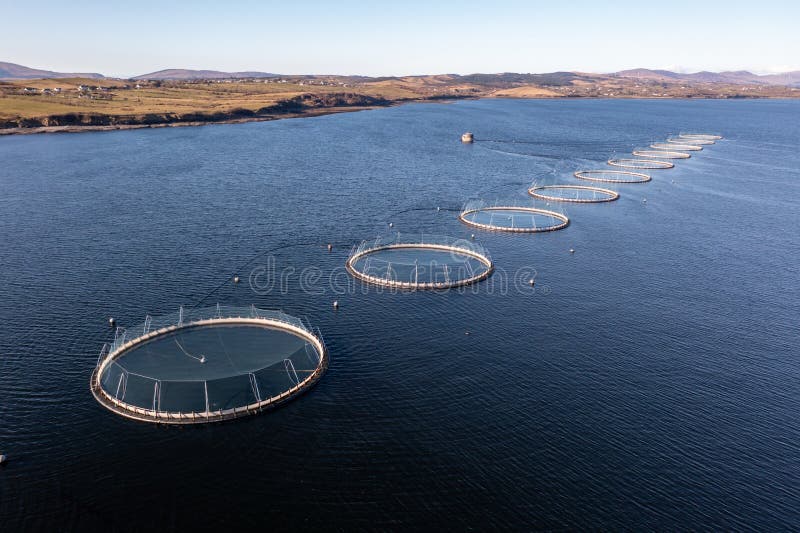 Aerial View of Fish Farm in County Donegal Ireland Stock Image