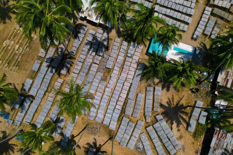 Aerial View Of Fish Farm During Drying Fish Process Stock Image Image aerial-view-of-fish-farm-during-drying-fish-process-stock-image-image