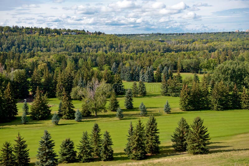 Aerial view of the forest stock images