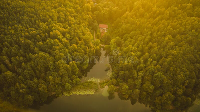Aerial view of forest and lake during summer sunset royalty free stock images Aerial view of forest and lake during summer sunset royalty free stock images