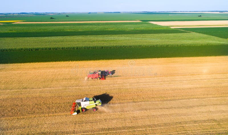 Aerial image of harvest in wheat field