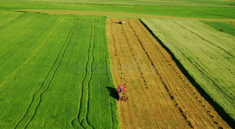 Aerial view of green meadow stock photo