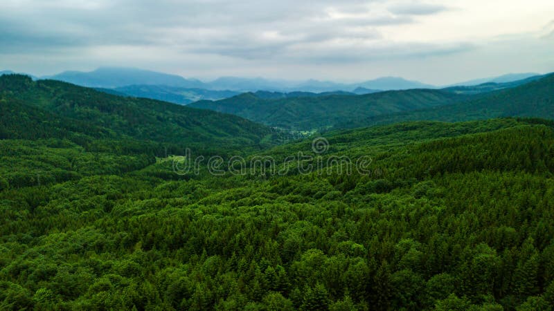 Letecký pohled na zelené stromy ve slovenských Tatrách
