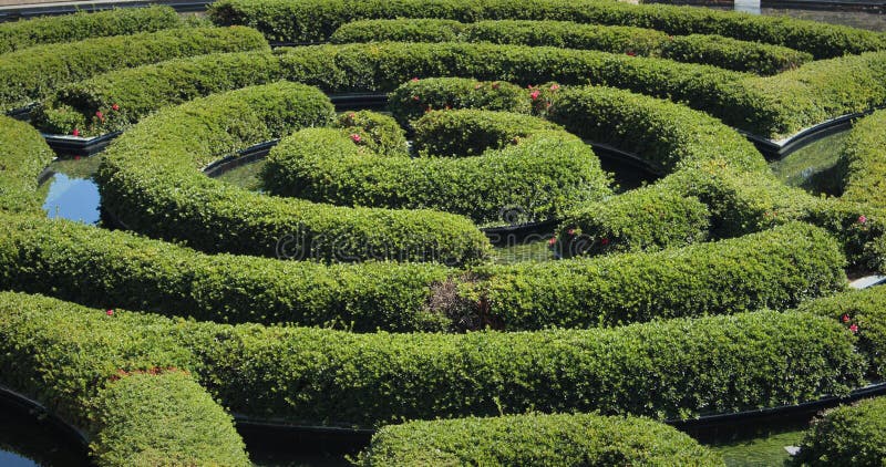 Aerial View Of Greenery Hedge Maze Surrounded By Water Stock Photo