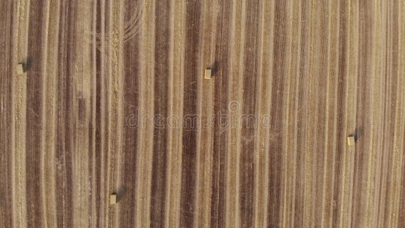 Aerial view on harvest field, square straw bales, view from above, move straight ahead