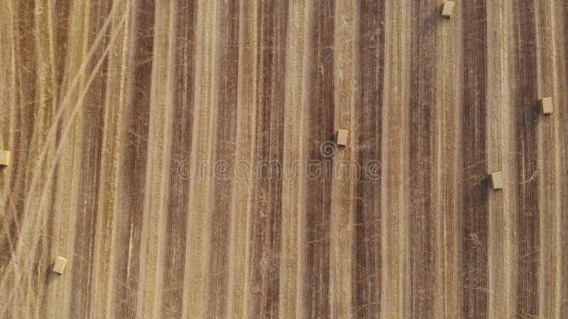 Aerial view on harvest field, square straw bales, view from above, slowly fly forward