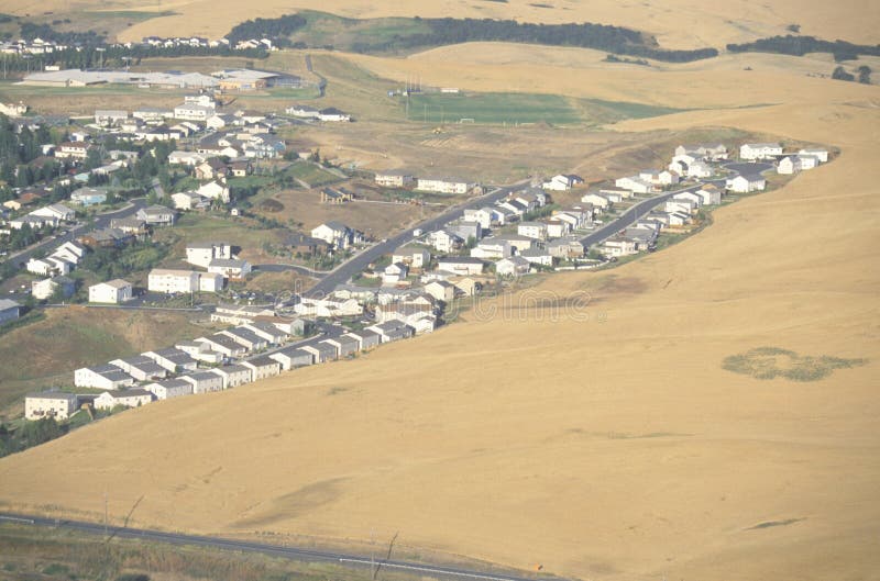 An aerial view of a housing development and wheat field