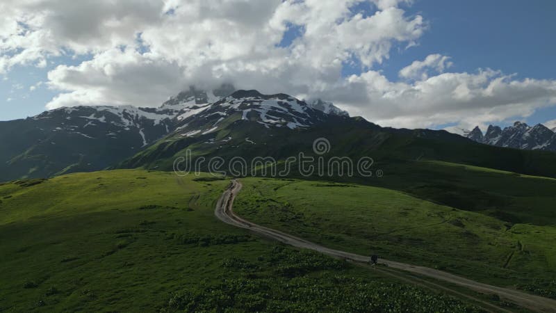 Aerial view of man hiking on alpine meadows in high mountains. Solo trekker explores green landscape with snow-capped stock footage