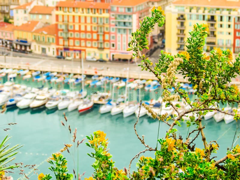 Aerial view of the Old Port. Nice, France royalty free stock photo Aerial view of the Old Port. Nice, France royalty free stock photo