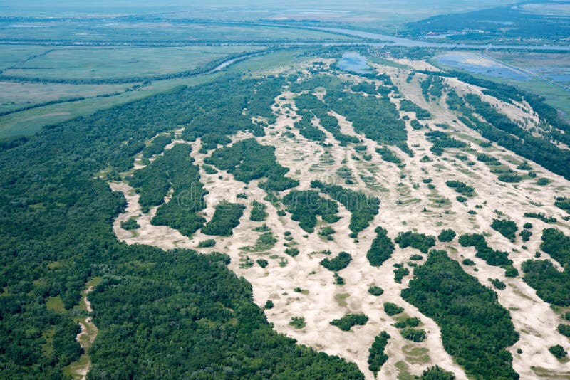 Aerial View Over Letea Forest in the Danube Delta, Romania