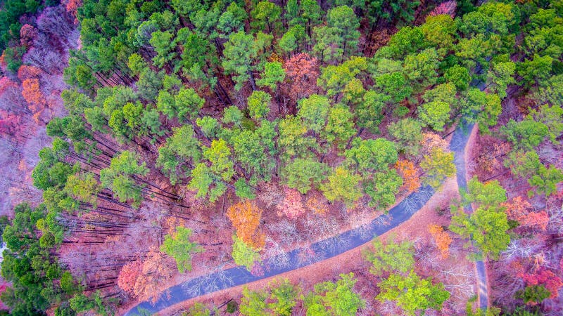 Aerial view over wooded forest and road royalty free stock photography