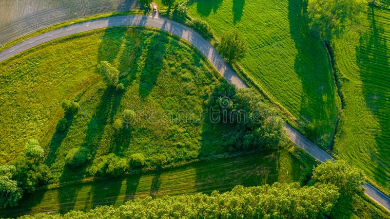 Aerial view of road in beautiful green forest at sunset in spring. Colorful landscape with car on the roadway, trees in