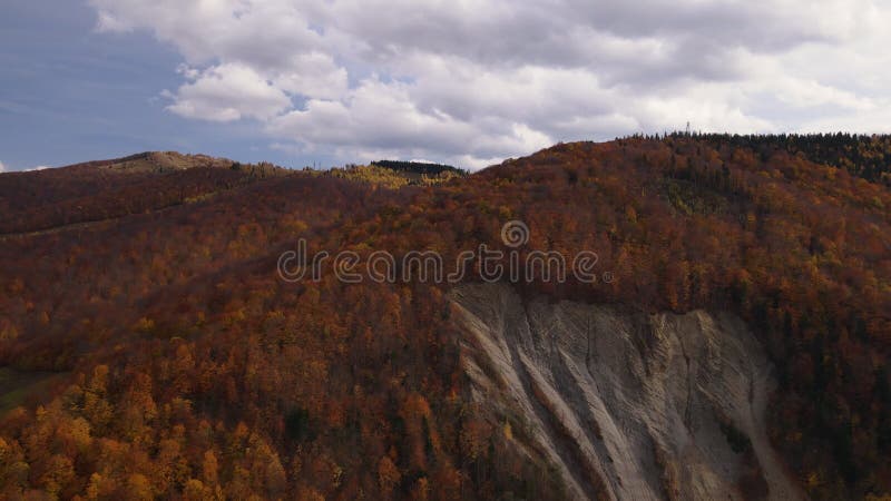 Aerial view of the scenic and colorful forest during fall season in Carpathian, rocky mountain with yellowed autumn