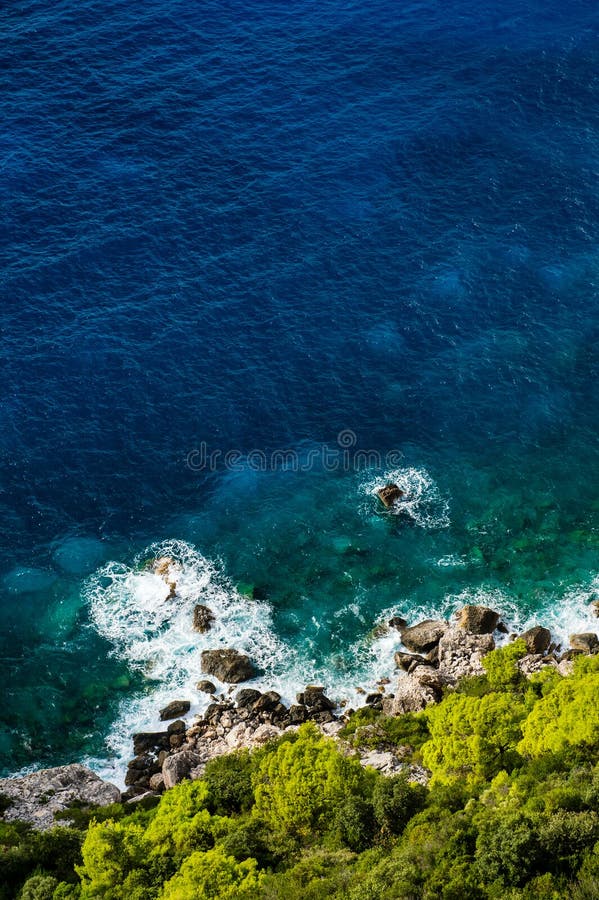 Aerial view of seashore with blue sea and fresh green vegetation