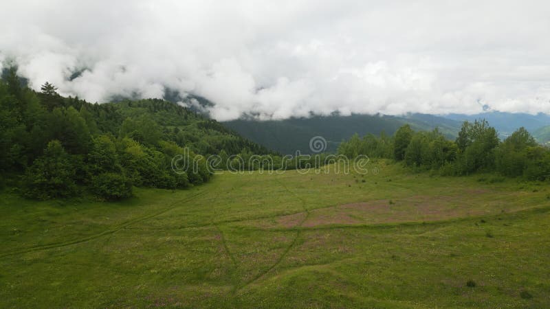 Aerial view of solo backpacker hiking in alpine meadow. Person walks through green field with small cabin, near forest stock footage
