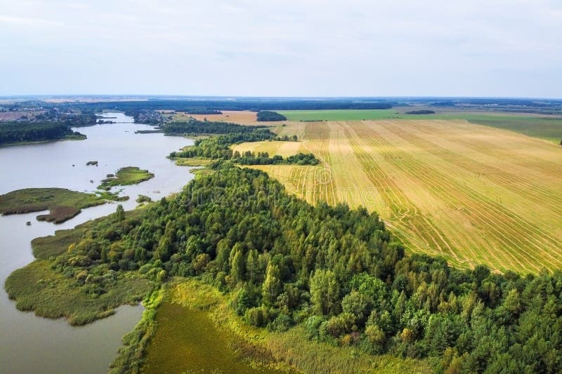 Aerial view of summer landscape with river and forest