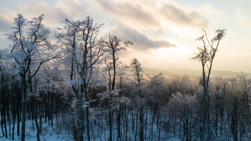 Letecký pohled na západ slunce nad zimním lesem