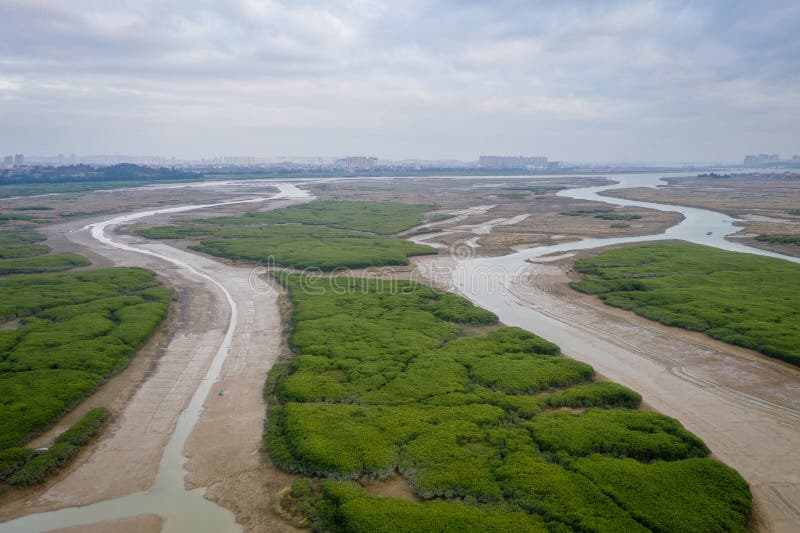 Aerial view of the sunset landscapes of nature reserve park at Luoyang Bridge, Quanzhou, China