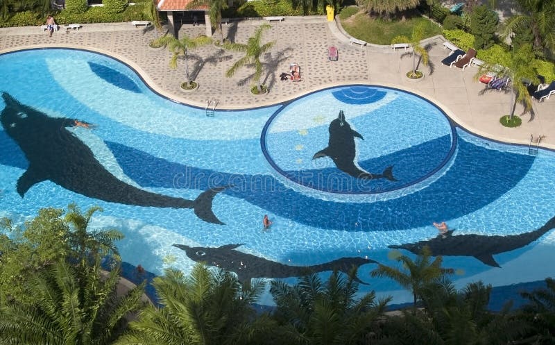 Aerial view of swimming-pool