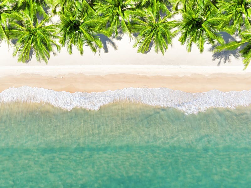 Aerial view top view Beautiful topical beach with white sand coconut palm trees and sea. Top view empty and clean beach. Waves