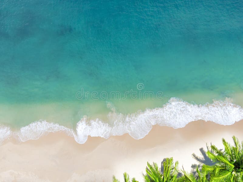 Aerial view top view Beautiful topical beach with white sand coconut palm trees and sea. Top view empty and clean beach. Waves