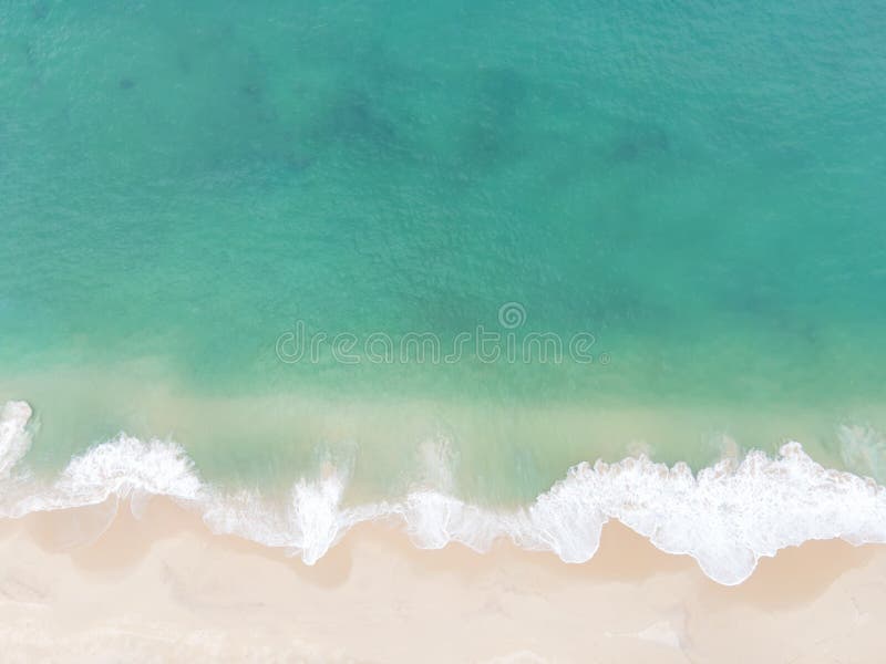 Aerial view top view Beautiful topical beach with white sand coconut palm trees and sea. Top view empty and clean beach. Waves