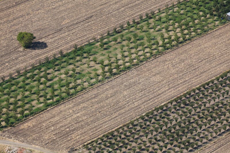 Aerial view tree royalty free stock photos