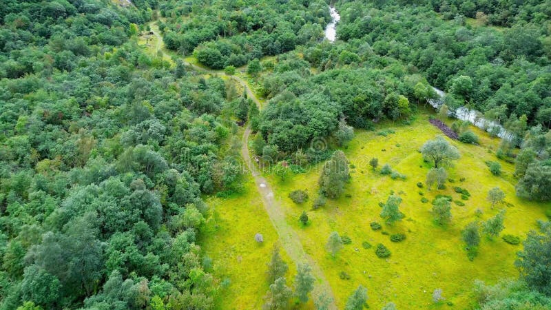 Aerial view of vibrant green forest with scattered trees and a narrow footpath un Vestlandet, Norway stock footage