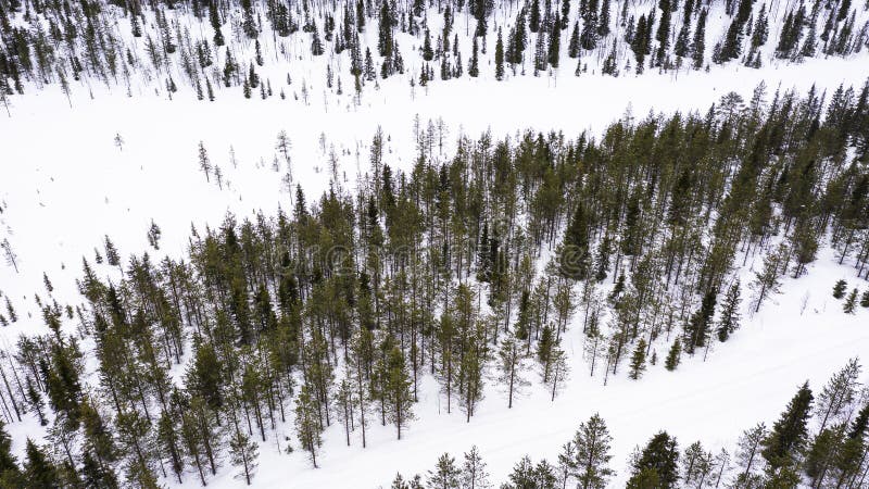 Aerial view of wild winter forest royalty free stock image