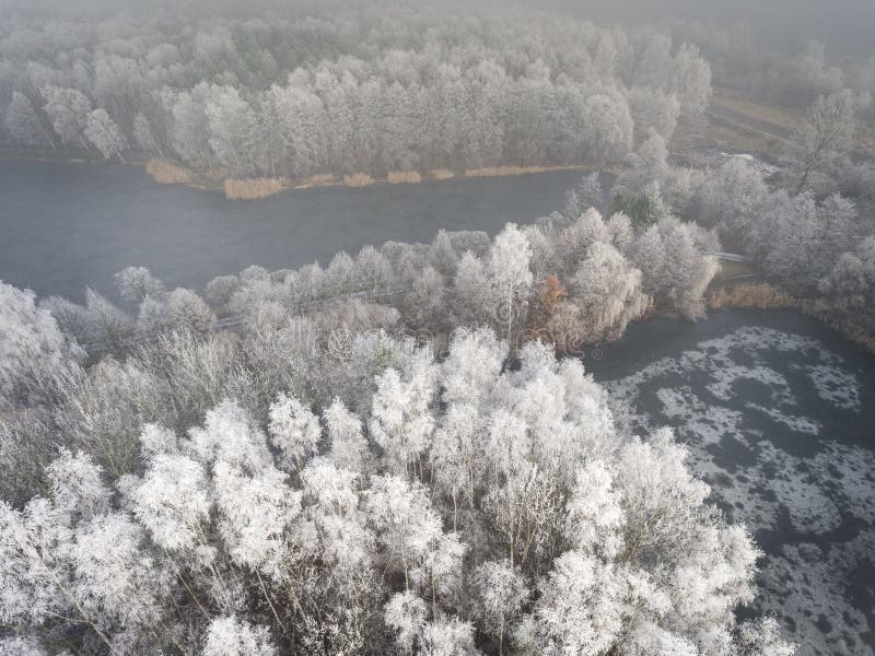 Aerial view of the winter background with a snow-covered forest. Clearing, morning.