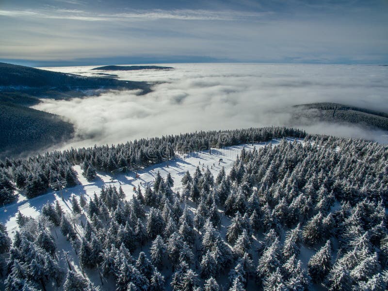 Aerial view of winter forest