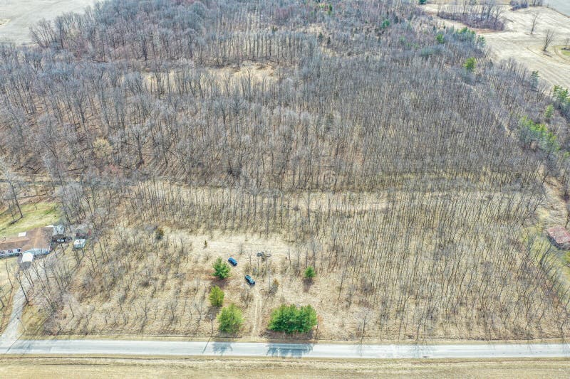Aerial view of winter trees without branches royalty free stock photos
