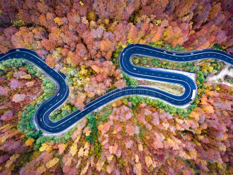 Aerial winding curved road trough the forest. Hi mountain pass