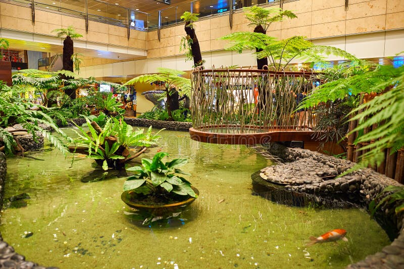 Aeroporto di Singapore Changi immagine stock libera da diritti Aeroporto di Singapore Changi immagine stock libera da diritti