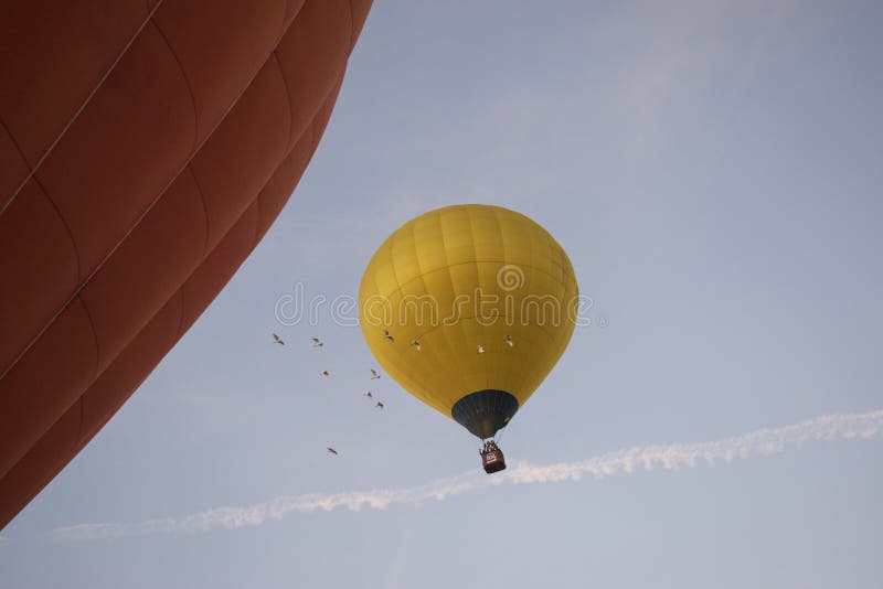 Aerostatic balloon rising up from sky  and birds flying with it