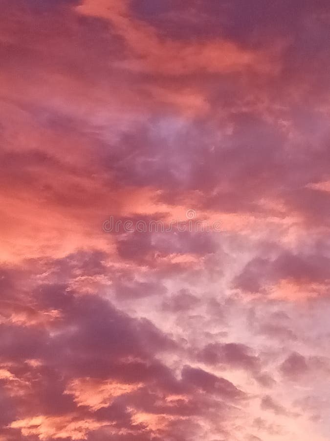 4 892 Aesthetic Pink Photos Free Royalty Free Stock Photos From Dreamstime 4 892 aesthetic pink photos free