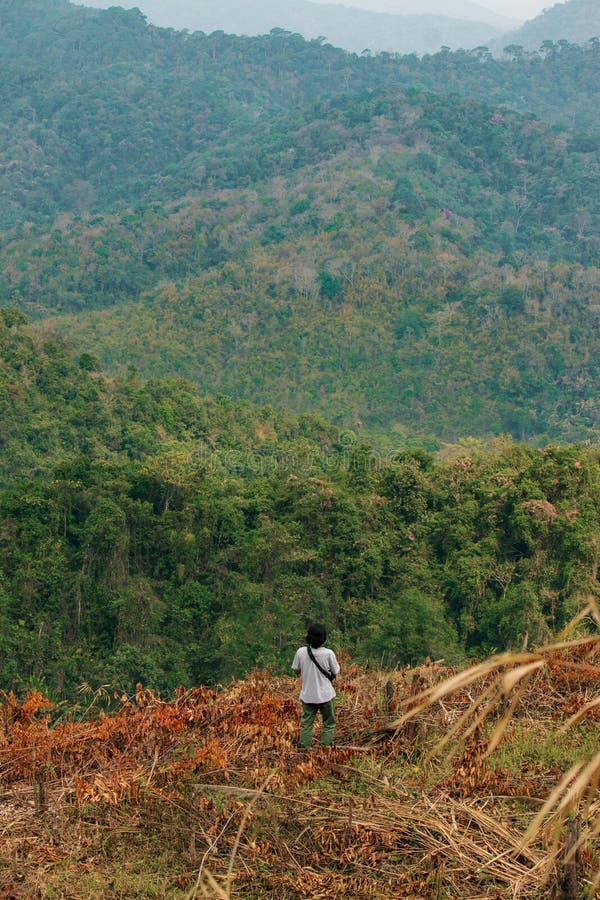 Afbeelding van het begrip ontbossing bestaande uit een onherkenbare man die in een bosbouw tussen gekapte bomen loopt
