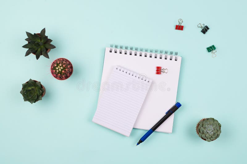 Affaires flatlay avec le divers carnet avec les pages vides, le stylo, les succulents et les cactus et les agrafes sur une table images libres de droits Affaires flatlay avec le divers carnet avec les pages vides, le stylo, les succulents et les cactus et les agrafes sur une table images libres de droits