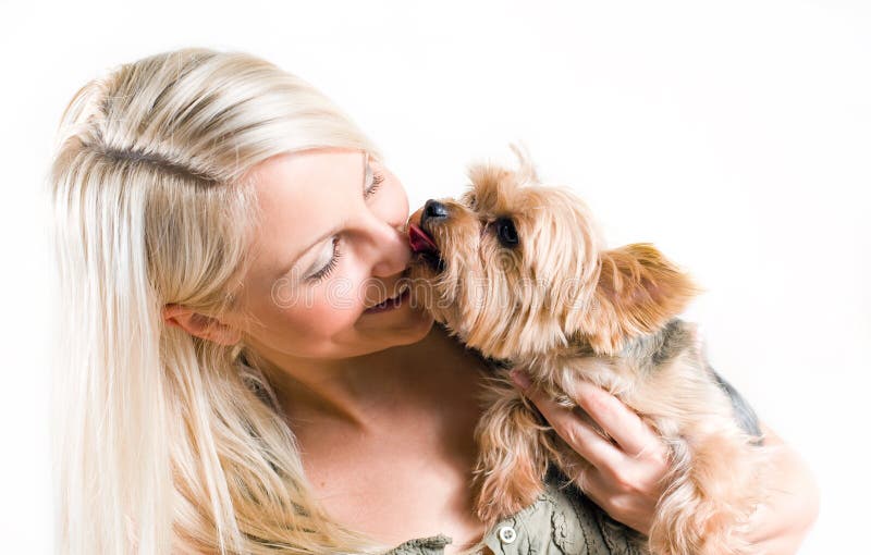 Affectionate pet. stock photo. Image of animal, tongue 22137614