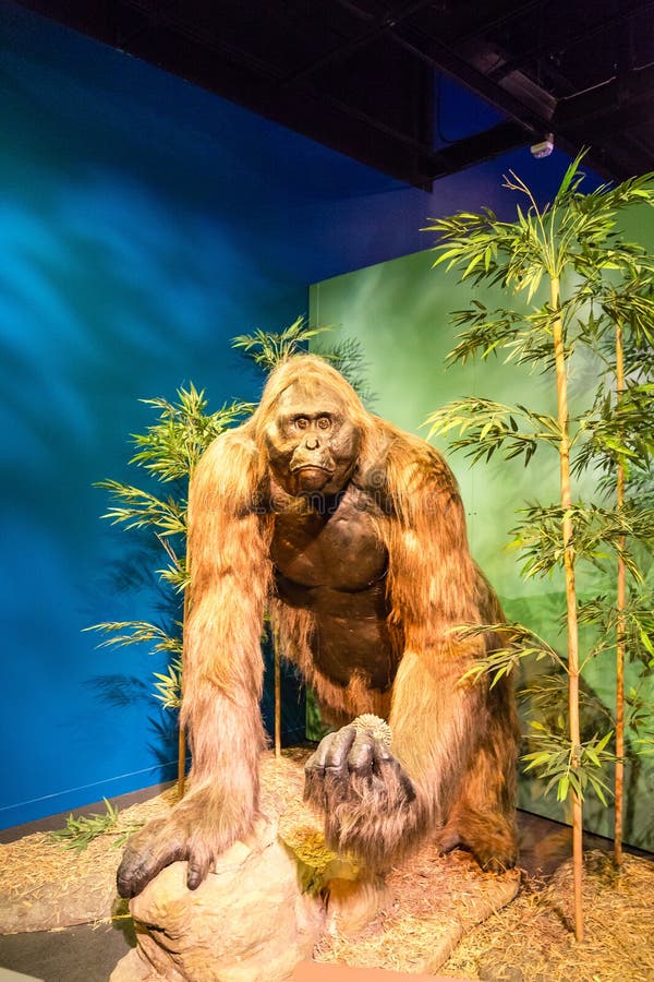 Model of an ape man with bamboo and rocks. Model of an ape man with bamboo and rocks