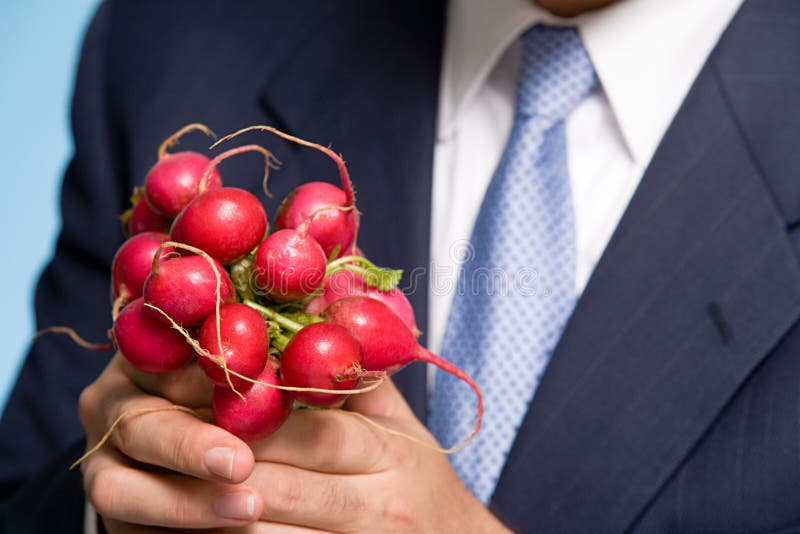 Affärsman som rymmer en grupp av rädisor royaltyfri foto