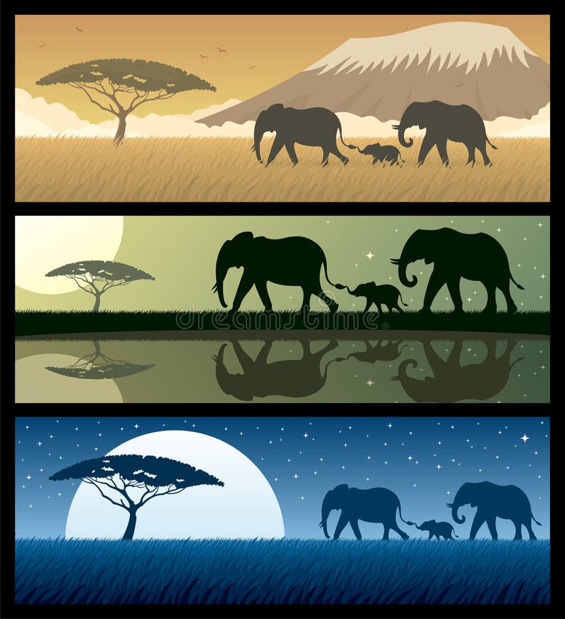Three African landscapes with elephants. Good for using as banners. No transparency used. Basic (linear) gradients used. Grass night sky background vectors