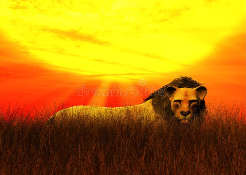 Africa Safari Lion Hidden Savanna Grassland Sun vector illustration Africa Safari Lion Hidden Savanna Grassland Sun vector illustration