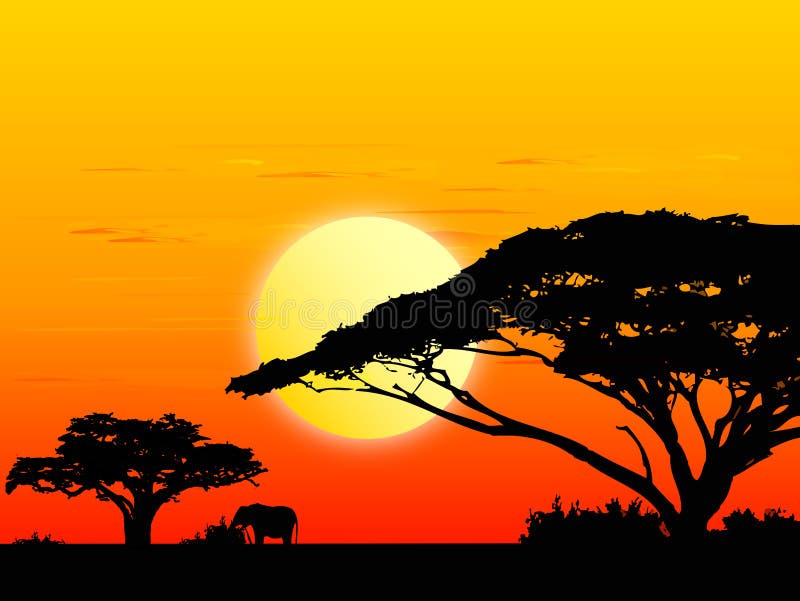 Africa sundown (vector) vector illustration Africa sundown (vector) vector illustration