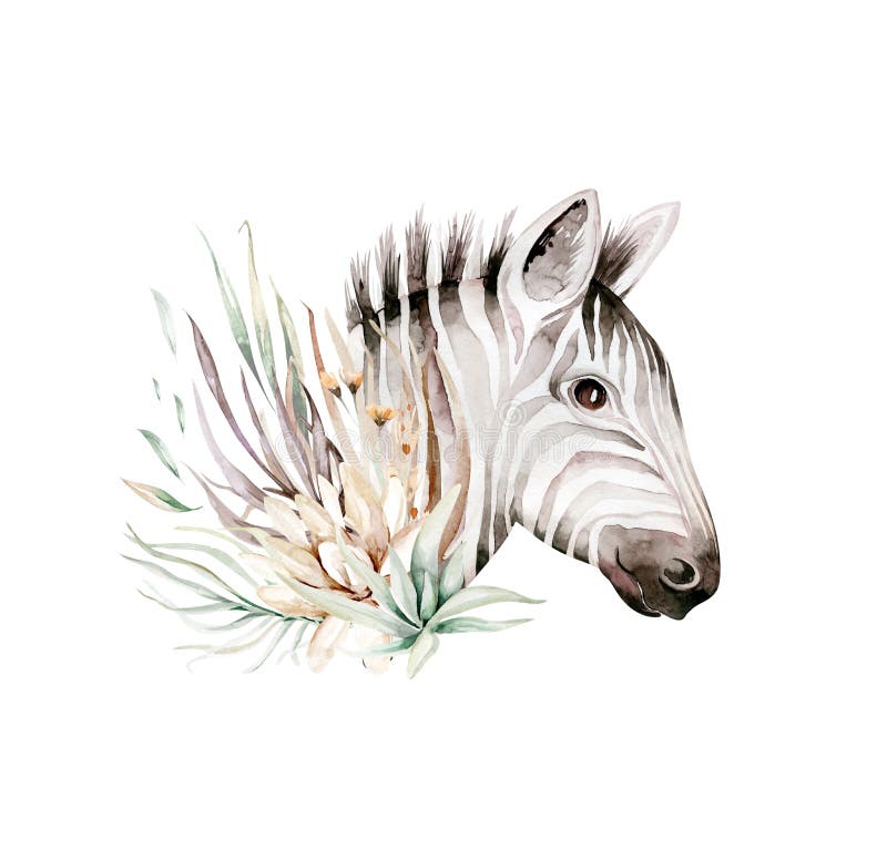 Zebra Head Watercolour Stock Illustrations – 57 Zebra Head